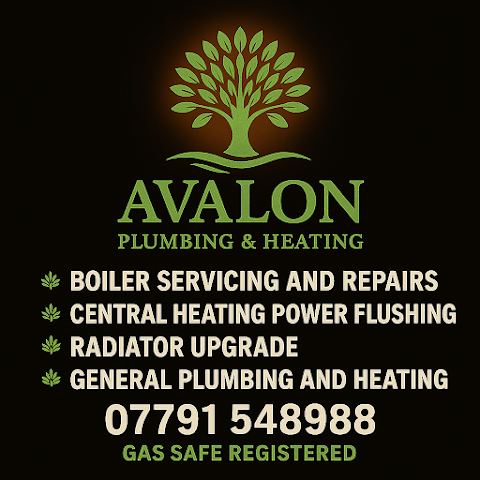 Avalon Plumbing and Heating, plumber in Bristol